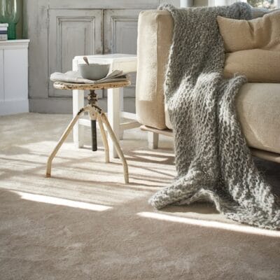 Ibexx Dreamy Delight