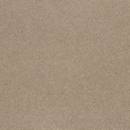 Ibexx Temperament - Image 4